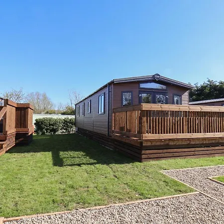 Foxglove Saltburn-by-the-Sea