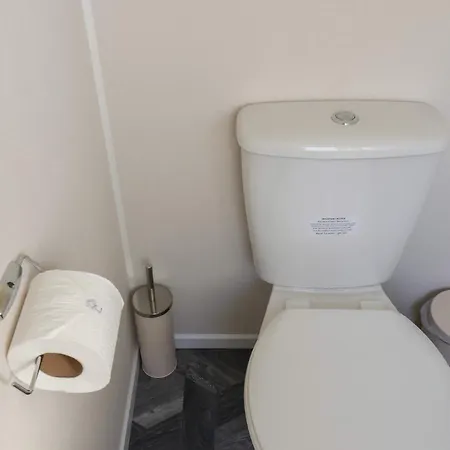 Foxglove Saltburn-by-the-Sea