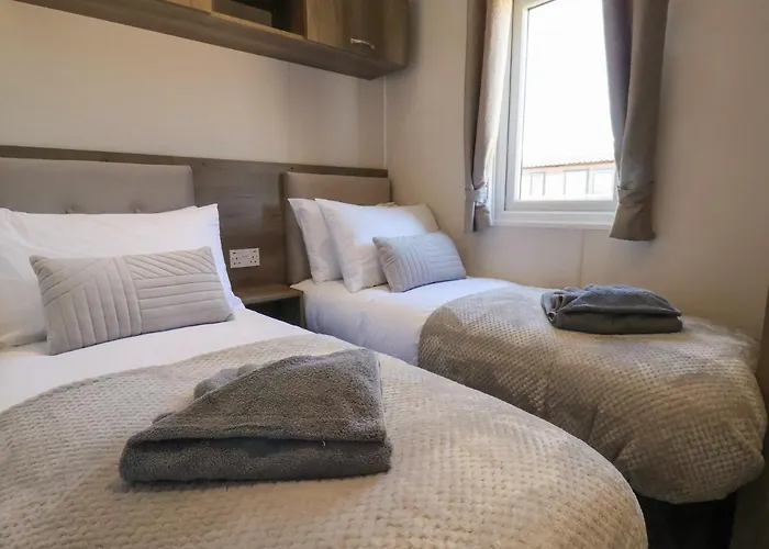 Foxglove * Saltburn-by-the-Sea