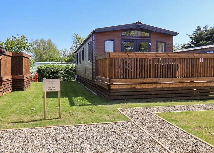 Foxglove Saltburn-by-the-Sea